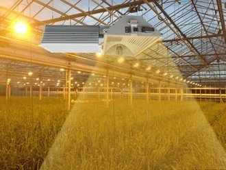 China Indoor 1000 Watt Grow Light Aluminum Hood Dimmable With 6 Phase Dimming Function supplier