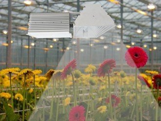 China Deep Penetration Indoor Grow Lights , B281 Plus 630W MH Grow Lights For Indoor Plants supplier