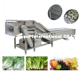 China vegetable washing machine supplier