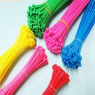 Colorful Nylon Tie Wraps Cable Ties Nylon Cable Ties High Tensile Strength