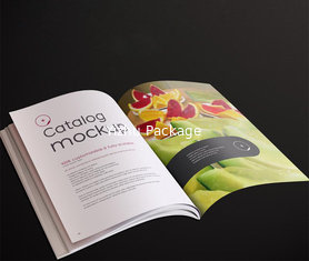 China Free digital sample Catalogue Brochure Printing factory in China supplier