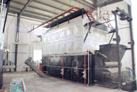 Capacity 6 ton 8 ton Chain Grate Cola Fired Steam Boiler Price